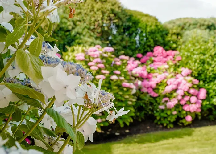 Litzkow 12502 Vakantiehuis *